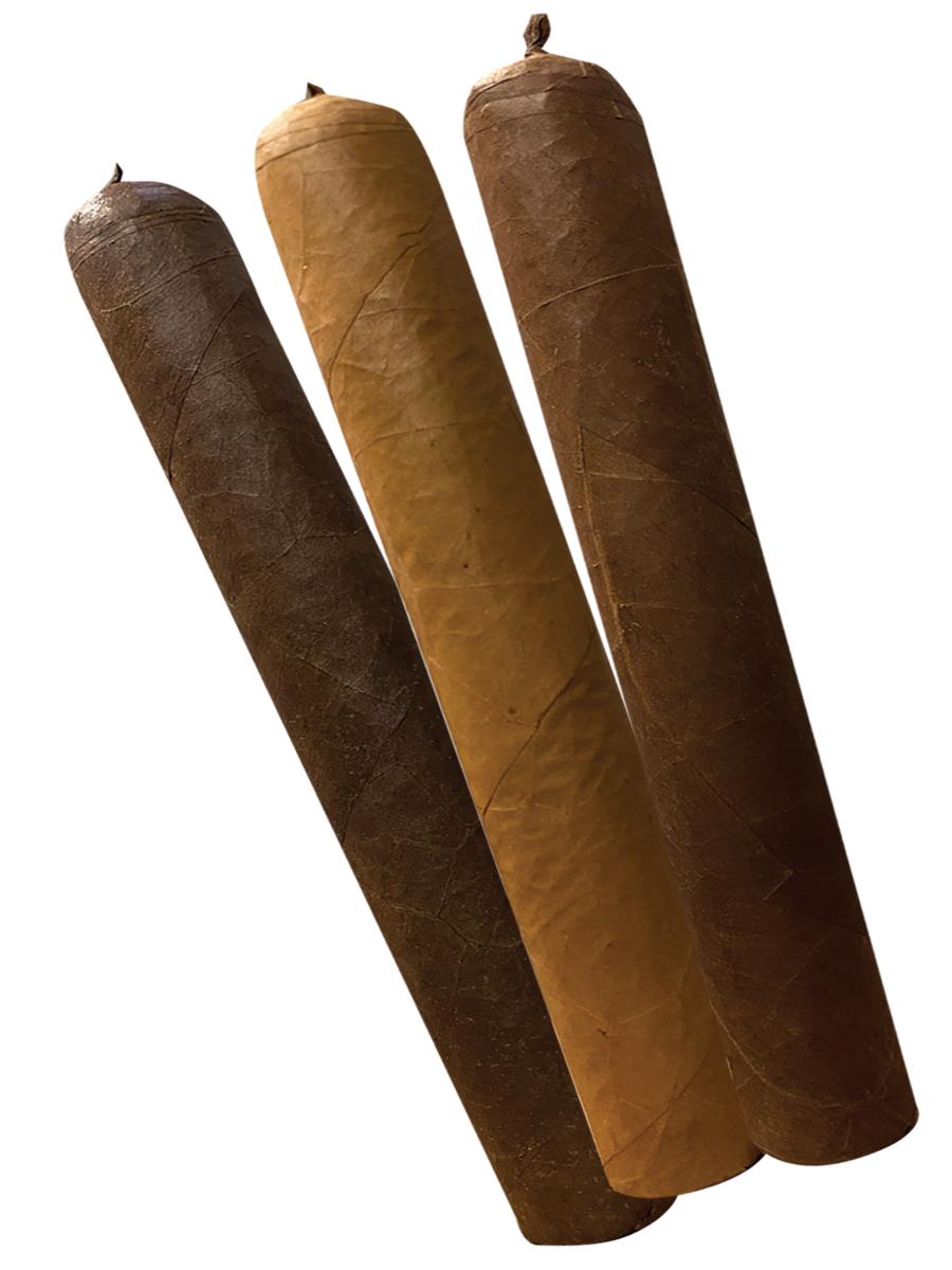 Big Dog - TOP DOG PREMIUM