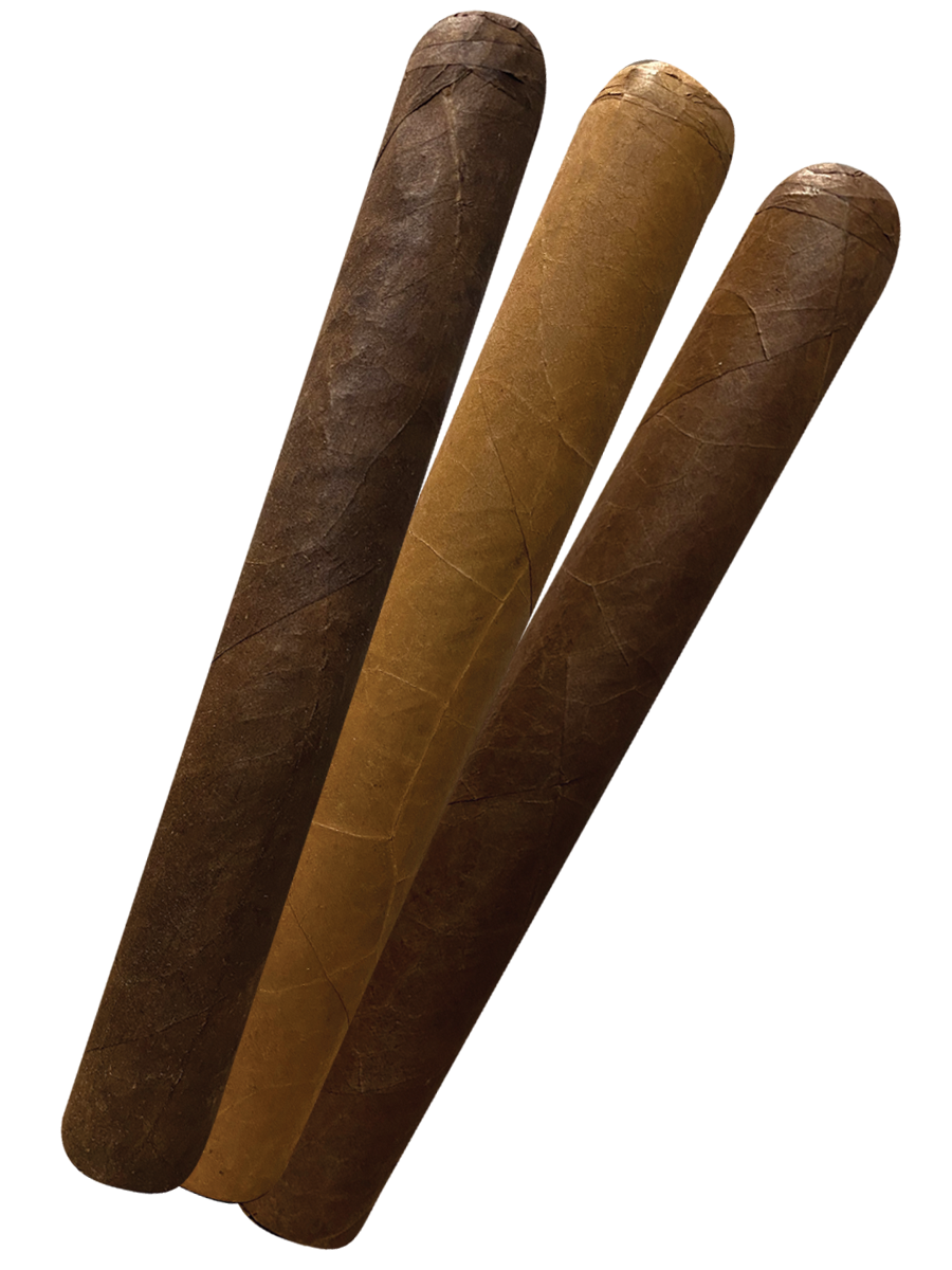 Big Dog - TOP DOG PREMIUM Sampler