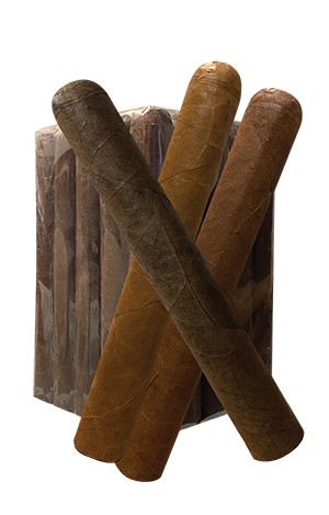 long leaf filler